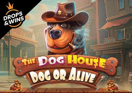 The Dog House - Dog or Alive