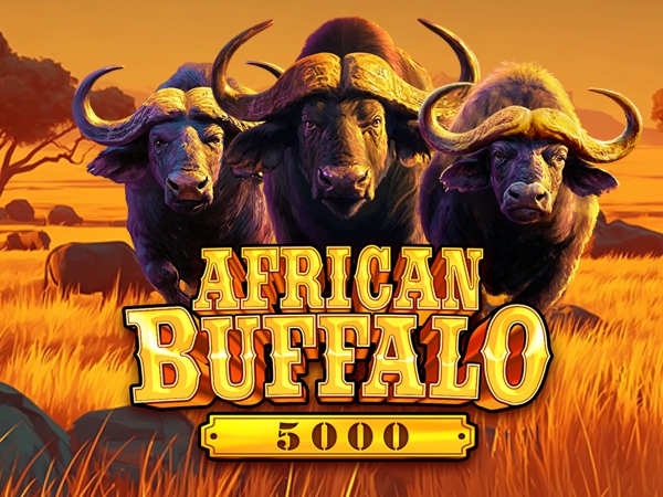 African Buffalo 5000